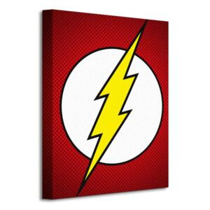 Obraz na plátně DC Comics (The Flash Symbol) 30x40 WDC92315