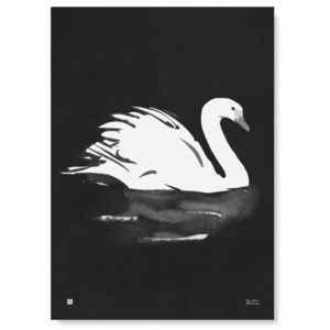 Plakát Swan 50x70 Teemu Järvi