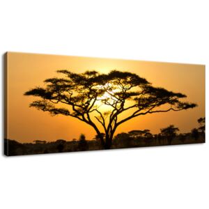 Gario Obraz na plátně Akácie v Serengeti Rozměry (š x v): 100 x 40 cm