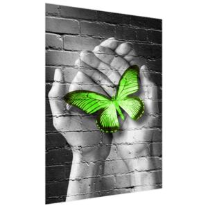 Fototapeta Zelený motýl v dlaních 150x200cm FT2362A_2M