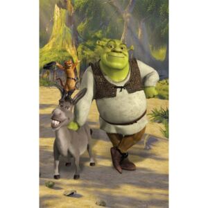 Obrazová tapeta Shrek 6panel Walltastic rozměry 1,524 x 2,438 m