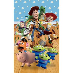 Obrazová tapeta Disney Toy Story 6panel Walltastic rozměry 1,524 x 2,438 m