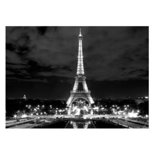 Obraz Eiffelovy věže (K010518K7050)