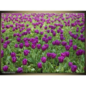 Obraz fialových květin (F002616F7050)