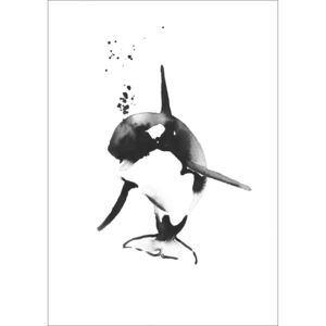 Plakát Mini Killer Whale A4