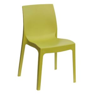 Jídelní židle Rome - verde anice