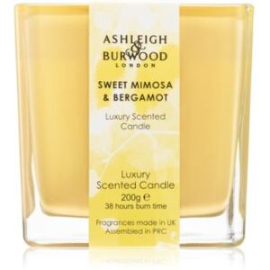 Ashleigh & Burwood London Life in Bloom Sweet Mimosa & Bergamot vonná svíčka 200 g