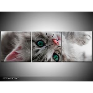 Obraz kočky se zelenýma očima (F002702F9030CC)