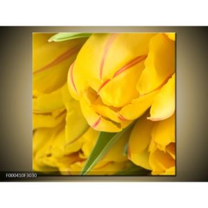 Obraz žlutých tulipánů (F000410F3030)