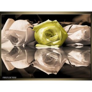 Obraz žluté růže na vodě (F002533F7050)