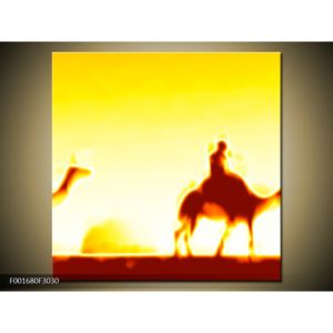 Obraz velblouda na rozplálené poušti (F001680F3030)