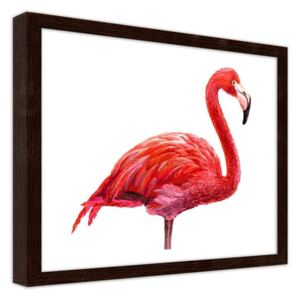 CARO Obraz v rámu - A Realistic Illustration Of A Flamingo 40x30 cm Hnědá