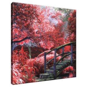 Obraz na plátně Japonská zahrada do červena 30x30cm 2545A_1AI