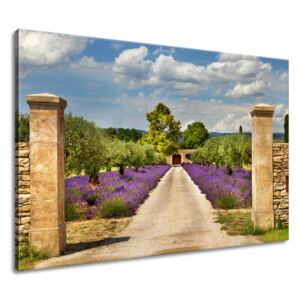 Gario Obraz na plátně Cesta v Provence Rozměry (š x v): 120 x 80 cm