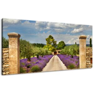 Gario Obraz na plátně Cesta v Provence Rozměry (š x v): 115 x 55 cm