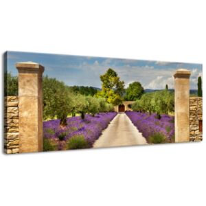 Gario Obraz na plátně Cesta v Provence Rozměry (š x v): 100 x 40 cm
