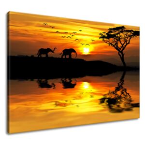 Gario Obraz na plátně Afrika Rozměry (š x v): 100 x 70 cm