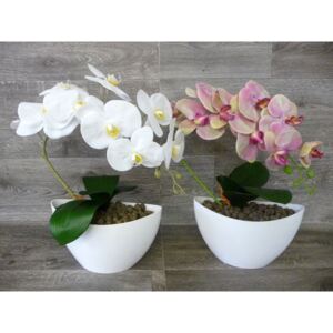 Orchidej v obalu - ohnutý šlahoun Orchidej v obalu - bílá 1a
