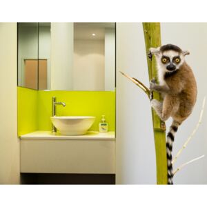 Design samolepka - Lemur