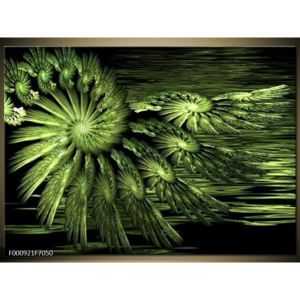 Abstraktní obraz - zelený (F000921F7050)