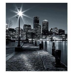 Vliesové fototapety na zeď Boston | MS-3-0016 | 225x250 cm