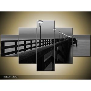 Černobílý obraz mostu (F001738F12570)
