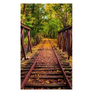 Vliesové fototapety na zeď Železnice v lese | MS-2-0055 | 150x250 cm
