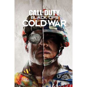 Plakát, Obraz - Call of Duty: Black Ops Cold War - Split, (61 x 91,5 cm)