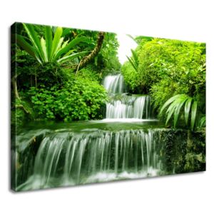 Gario Obraz na plátně Vodopád v deštném pralese Rozměry (š x v): 60 x 40 cm