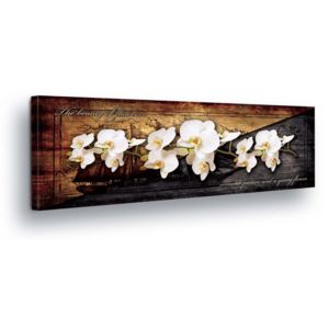 Obraz na plátně - Bílá Květinová Dekorace v Šedo-hnědém Pozadí 45x145 cm