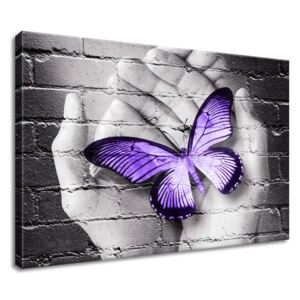 Gario Obraz na plátně Fialový motýl na dlaních Rozměry (š x v): 60 x 40 cm
