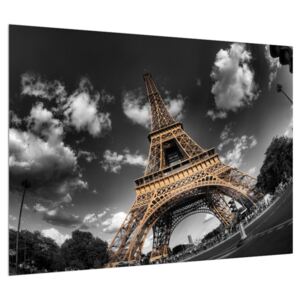 Obraz Eiffelovy věže (70x50 cm)