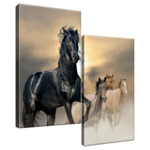 Obraz na plátně Nádherný černý kůň 60x60cm 2491A_2A