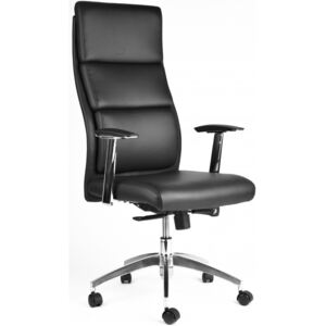 PEIER Kancelářská židle PE-A51 Developer