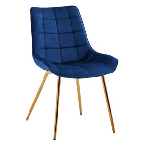 Concept design Tmavě modrá sametová jídelní židle Caira se zlatou podnoží