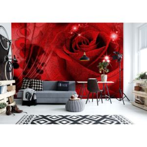 GLIX Fototapeta - Red Rose Sparkles Vliesová tapeta - 250x104 cm