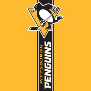 Osuška NHL Pittsburgh Penguins Belt