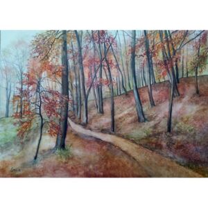Ručně malovaný obraz Vlastimil Štol - Podzimní barvy lesa