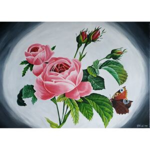 Ručně malovaný obraz Daniela Vojtechovská - Rosa vulgaris
