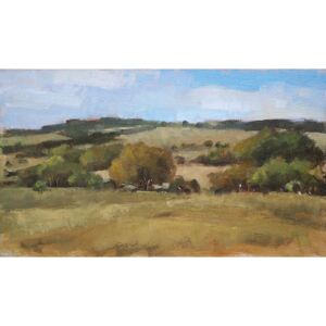 Ručně malovaný obraz Michal Plevák - Pohled do krajiny - New Forest