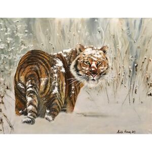 Ručně malovaný obraz Markéta Grimaux - Panthera tigris