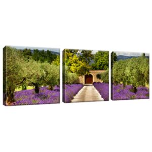 Obraz na plátně Cesta v Provence 90x30cm 1993A_3A