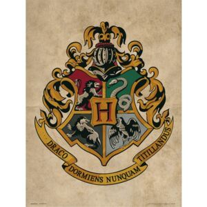 Obraz, Reprodukce - Harry Potter - Hogwarts Crest, (30 x 40 cm)