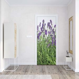 GLIX Fototapeta na dveře - Lavender | 91x211 cm
