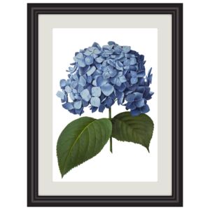 Obrázek modrá hortenzie A5 (148 x 210 mm): A5