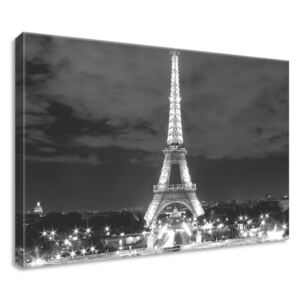Gario Obraz na plátně Eiffelova věž černo-bílá Rozměry (š x v): 80 x 60 cm