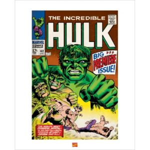 Obraz, Reprodukce - Hulk, (40 x 50 cm)