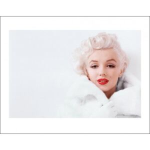 Obraz, Reprodukce - Marilyn Monroe - White, (50 x 40 cm)