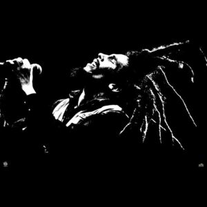 Plakát, Obraz - Bob Marley - black & white, (91,5 x 61 cm)