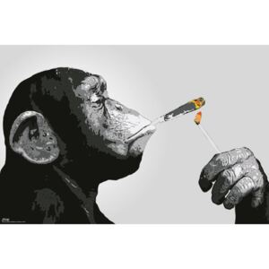 Plakát, Obraz - Steez - Opice Smoking, (91.5 x 61 cm)